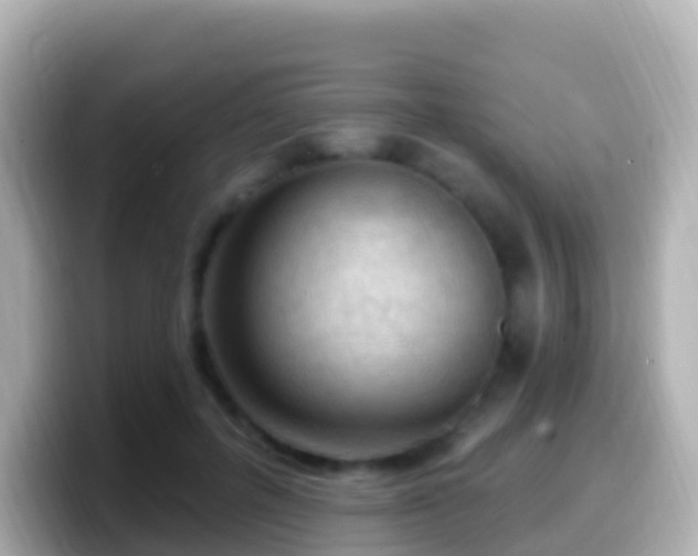 X0000099580600200805231552