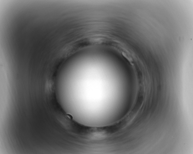 X0000099580601200805231552
