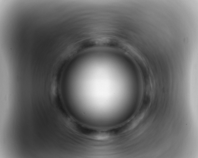 X0000099580604200805231552