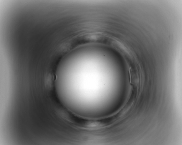 X0000099580605200805231552
