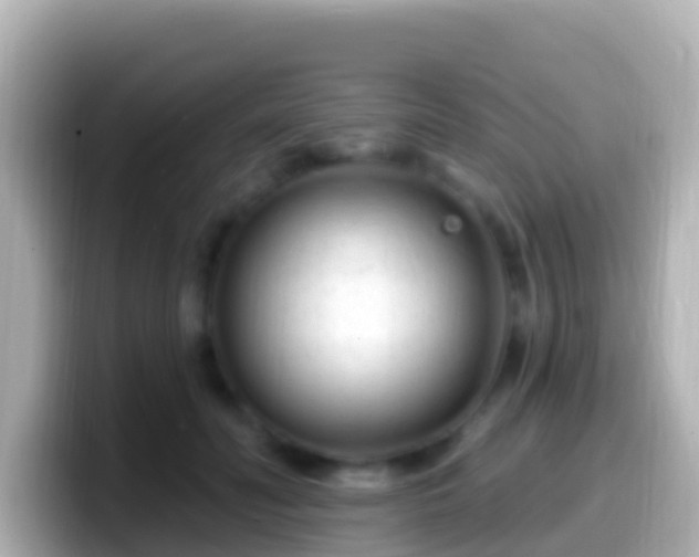 X0000099580606200805231552