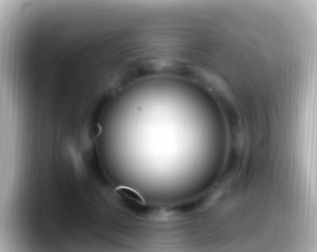 X0000099580607200805231552