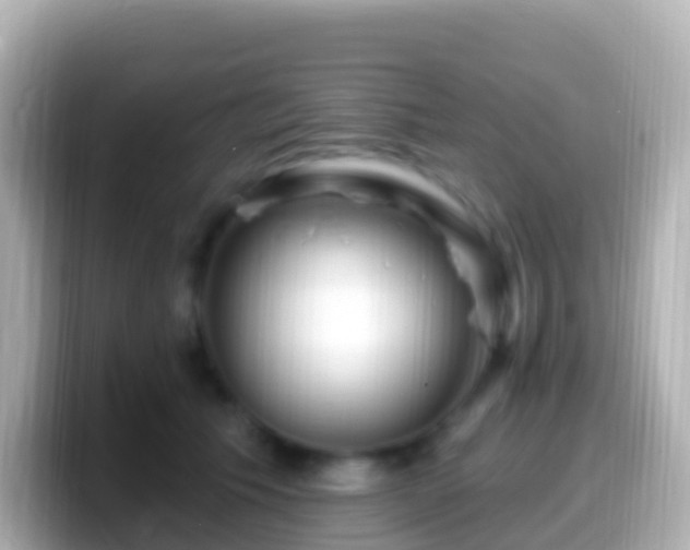 X0000099580609200805231552