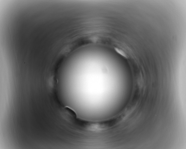 X0000099580611200805231552