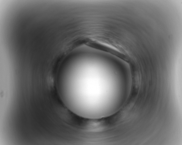 X0000099580613200805231552