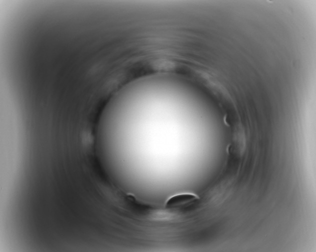 X0000099580614200805231552