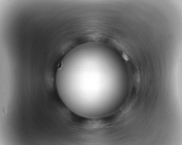 X0000099580615200805231552