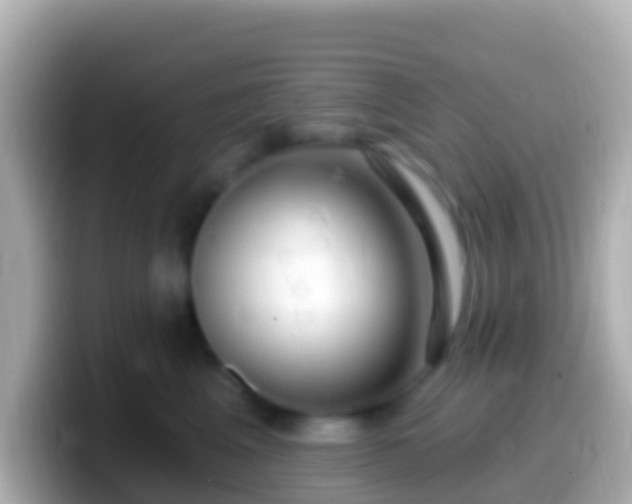 X0000099580617200805231552