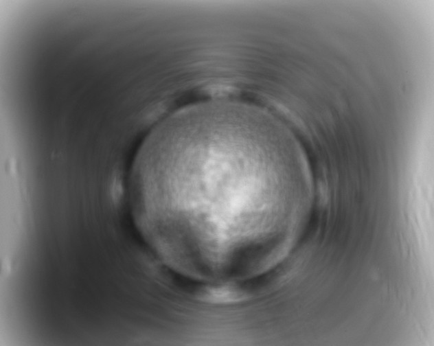 X0000099580618200805231552