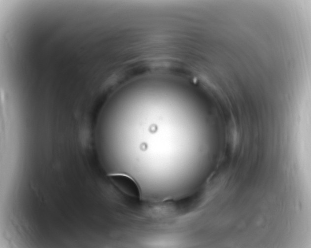 X0000099580619200805231552