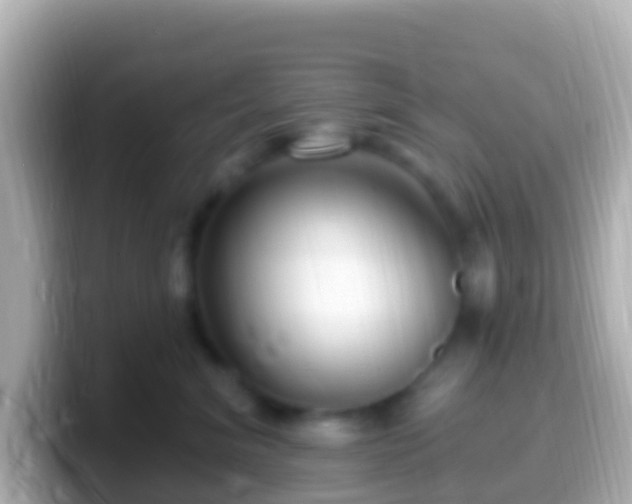 X0000099580620200805231552