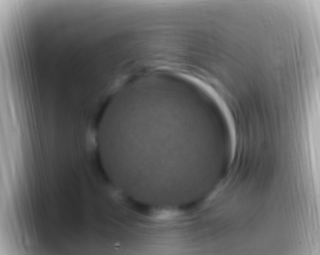 X0000099580621200805231552
