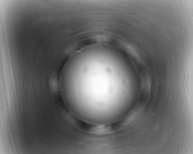 X0000099580622200805231552