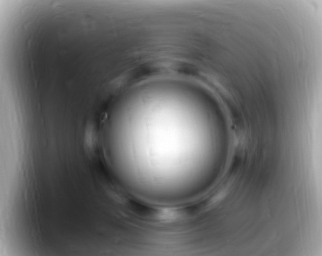 X0000099580623200805231552