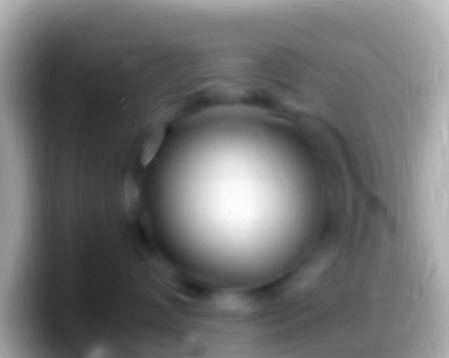 X0000099580624200805231552