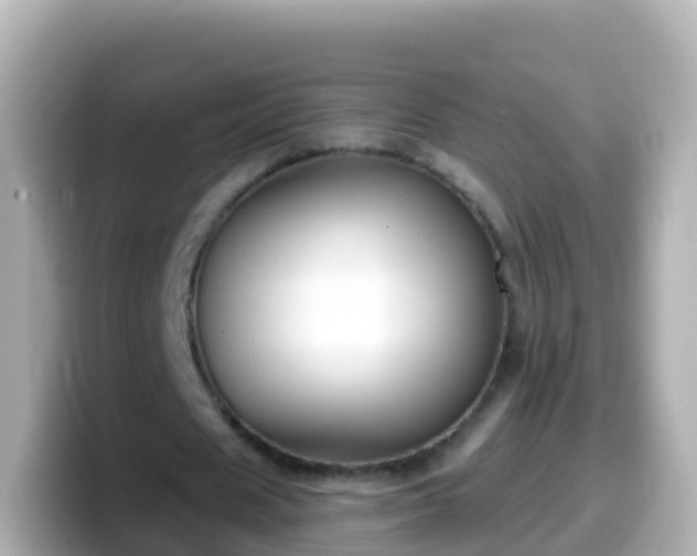 X0000099580625200805231551