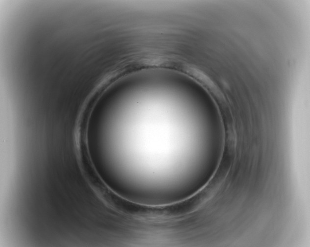 X0000099580626200805231551