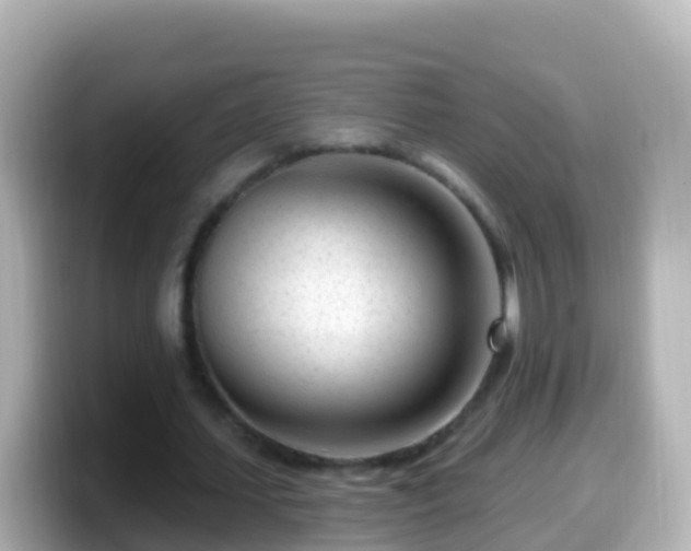 X0000099580627200805231551