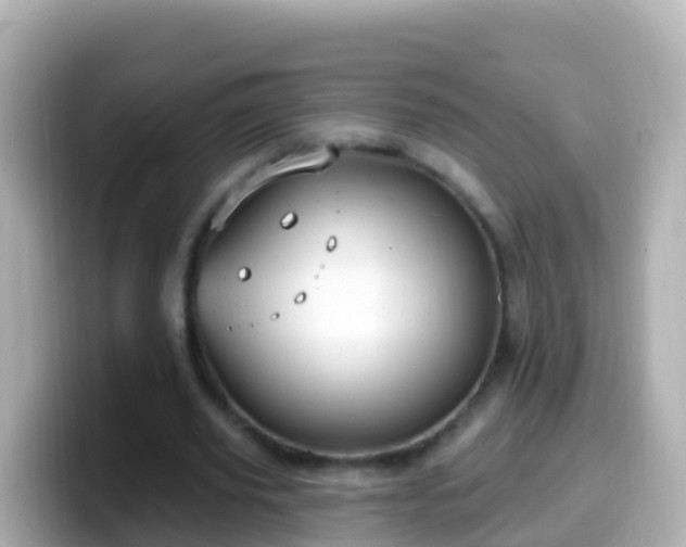 X0000099580629200805231551