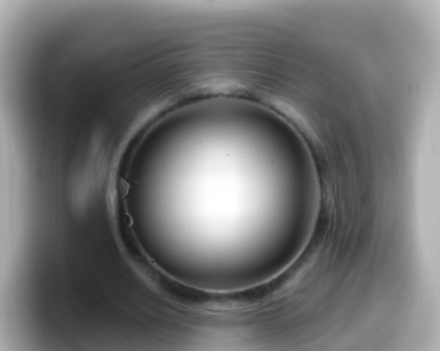 X0000099580630200805231551