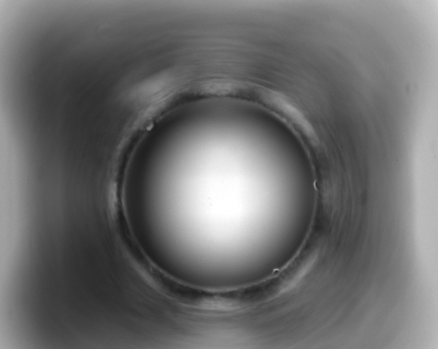 X0000099580633200805231551