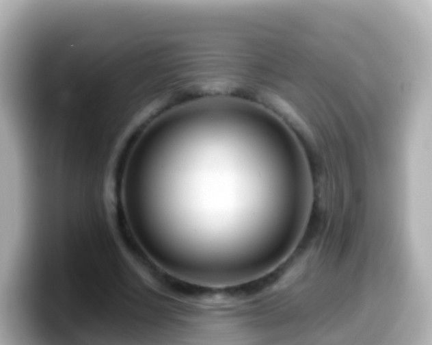 X0000099580634200805231551