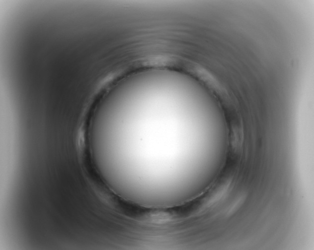 X0000099580636200805231551