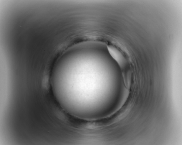X0000099580641200805231551