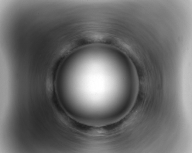 X0000099580642200805231551