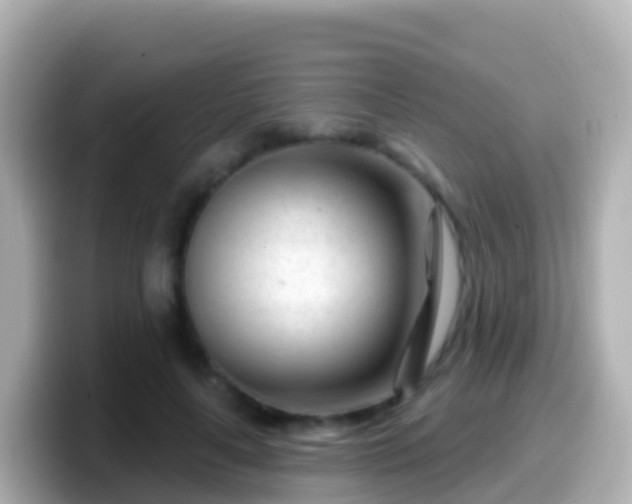 X0000099580643200805231551