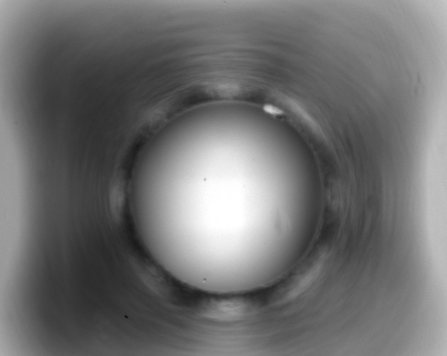 X0000099580645200805231551