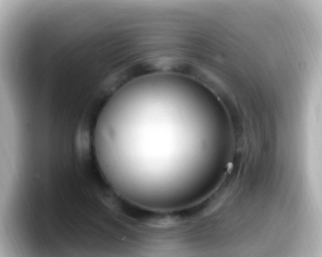 X0000099580646200805231551