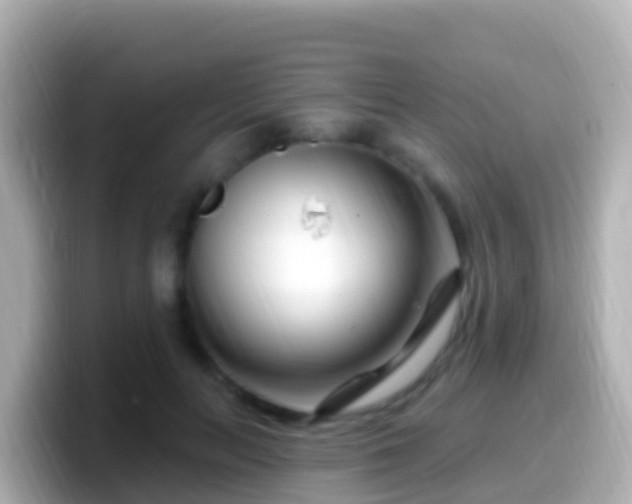 X0000099580647200805231551