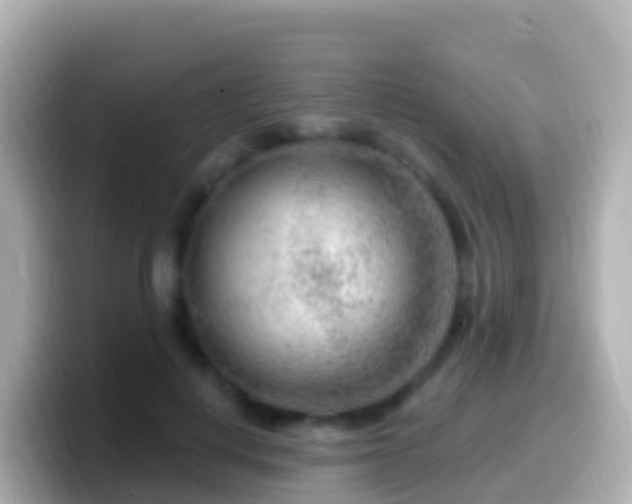 X0000099580648200805231551