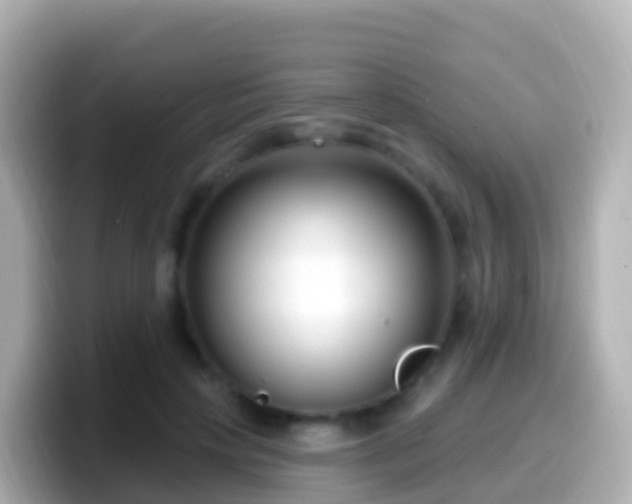 X0000099580649200805231551