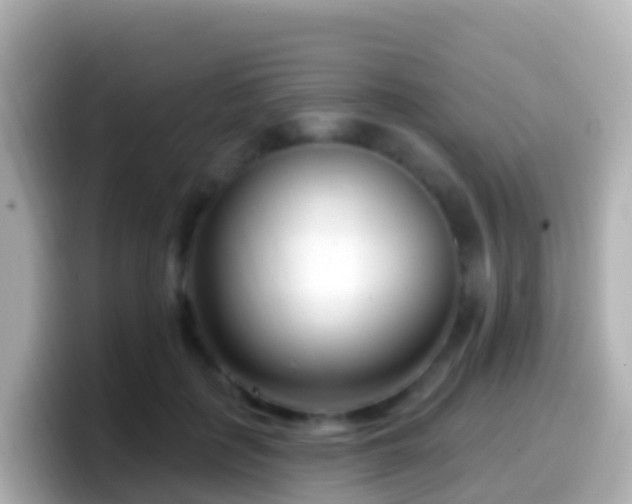 X0000099580651200805231551