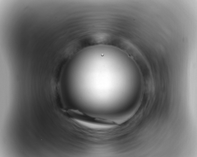 X0000099580653200805231551