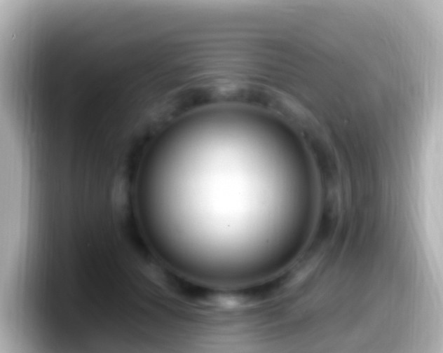 X0000099580654200805231551