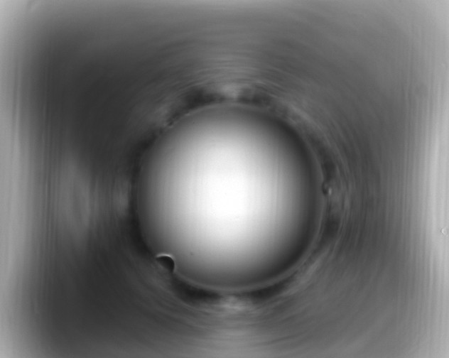 X0000099580656200805231551