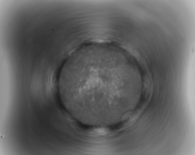 X0000099580659200805231552