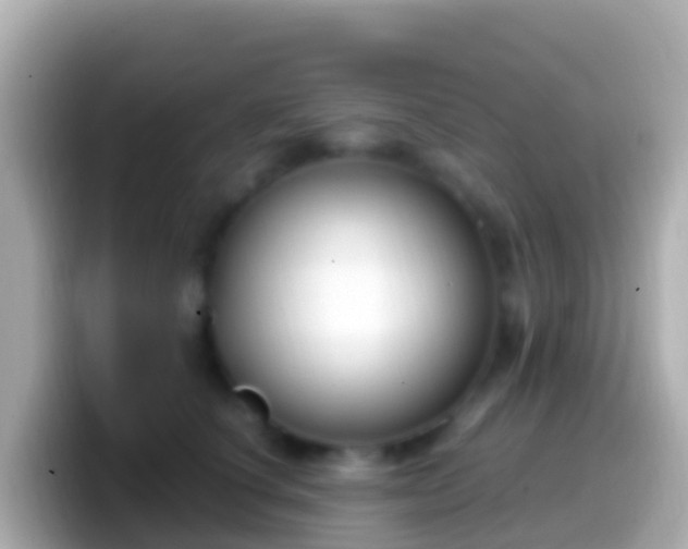 X0000099580660200805231552