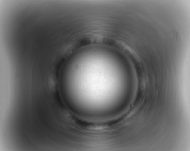 X0000099580661200805231552