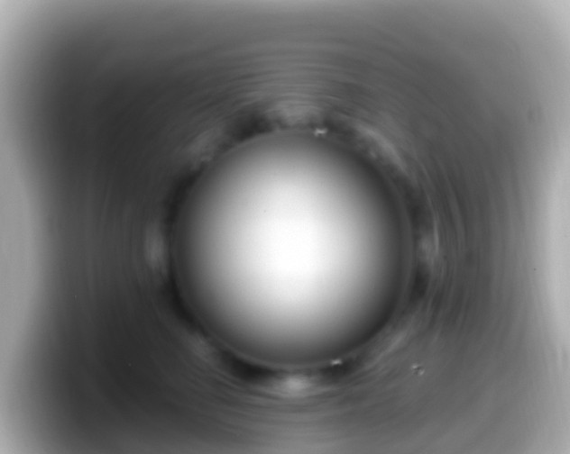 X0000099580662200805231552