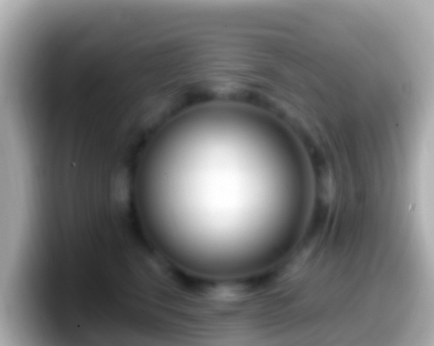 X0000099580664200805231552