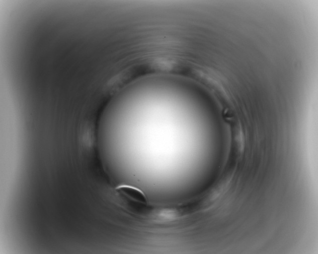 X0000099580665200805231552