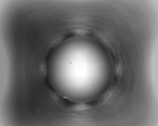 X0000099580666200805231552