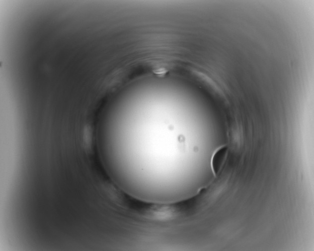 X0000099580667200805231552