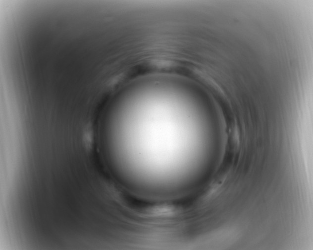 X0000099580668200805231552