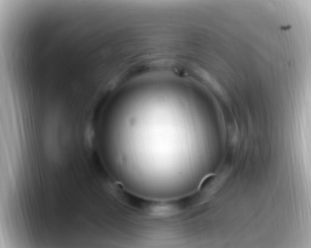 X0000099580669200805231552