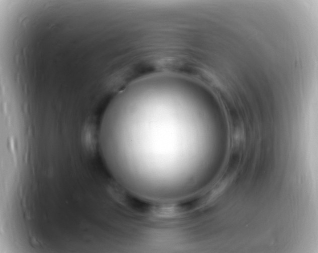 X0000099580671200805231552